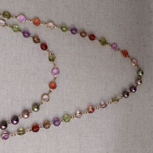 Premier Designs long necklace.